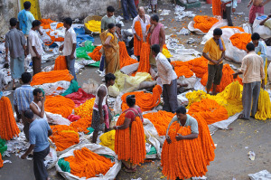 Mullick Ghat Flower Market1